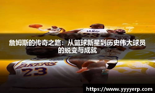 星空·综合体育中国官网入口