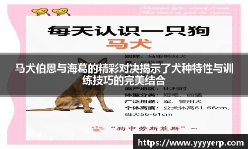 OD体育网址